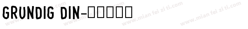 Grundig DIN字体转换